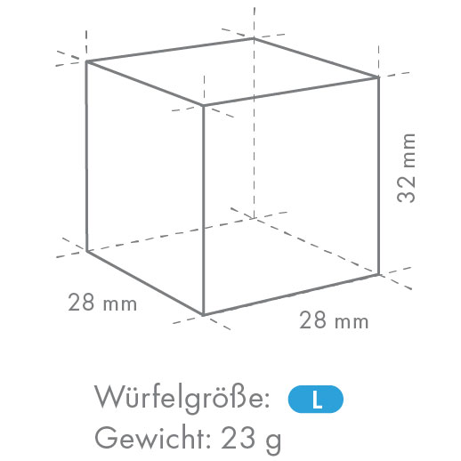 Hoshizaki IM-240 DNE-HC (Cube en L)