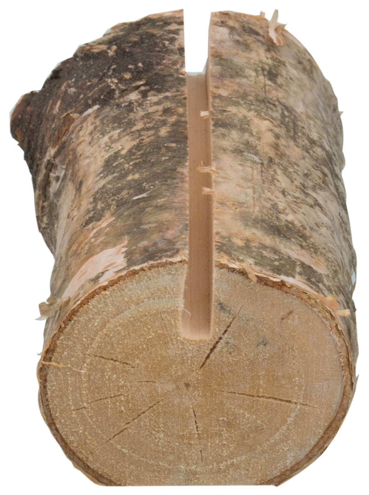 Porte-cartes Bouleau, aspect tronc d'arbre - env. 7cm