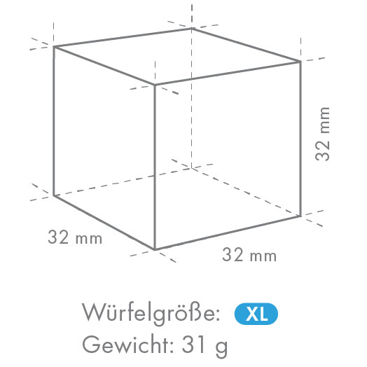 Hoshizaki IM-240DNE-HC-32 (Cube XL)