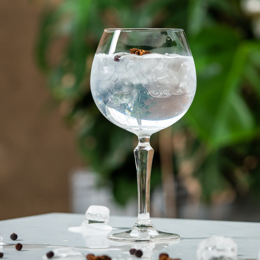 Verre à Gin & Tonic Spksy, Onis - 585ml (1 pce)