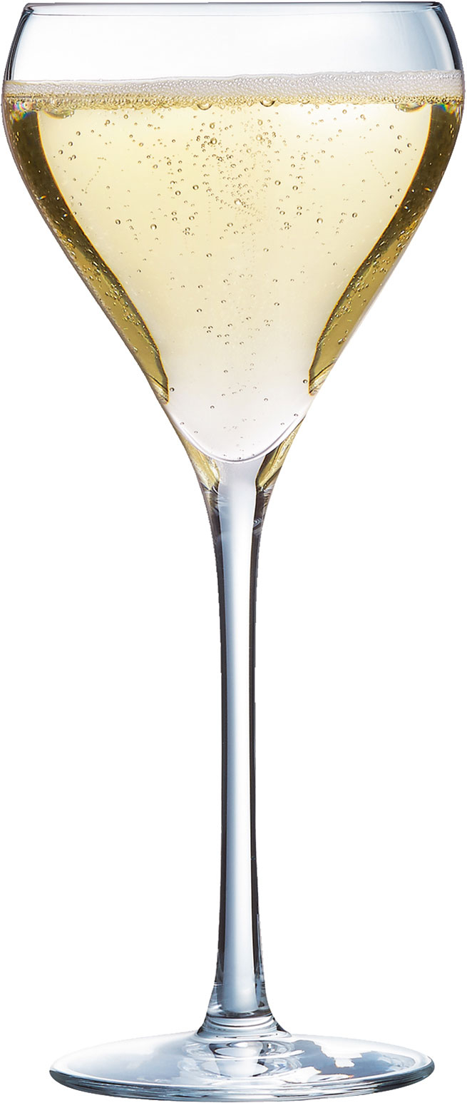 Coupe à champagne Brio, Arcoroc - 210ml (1 pce)