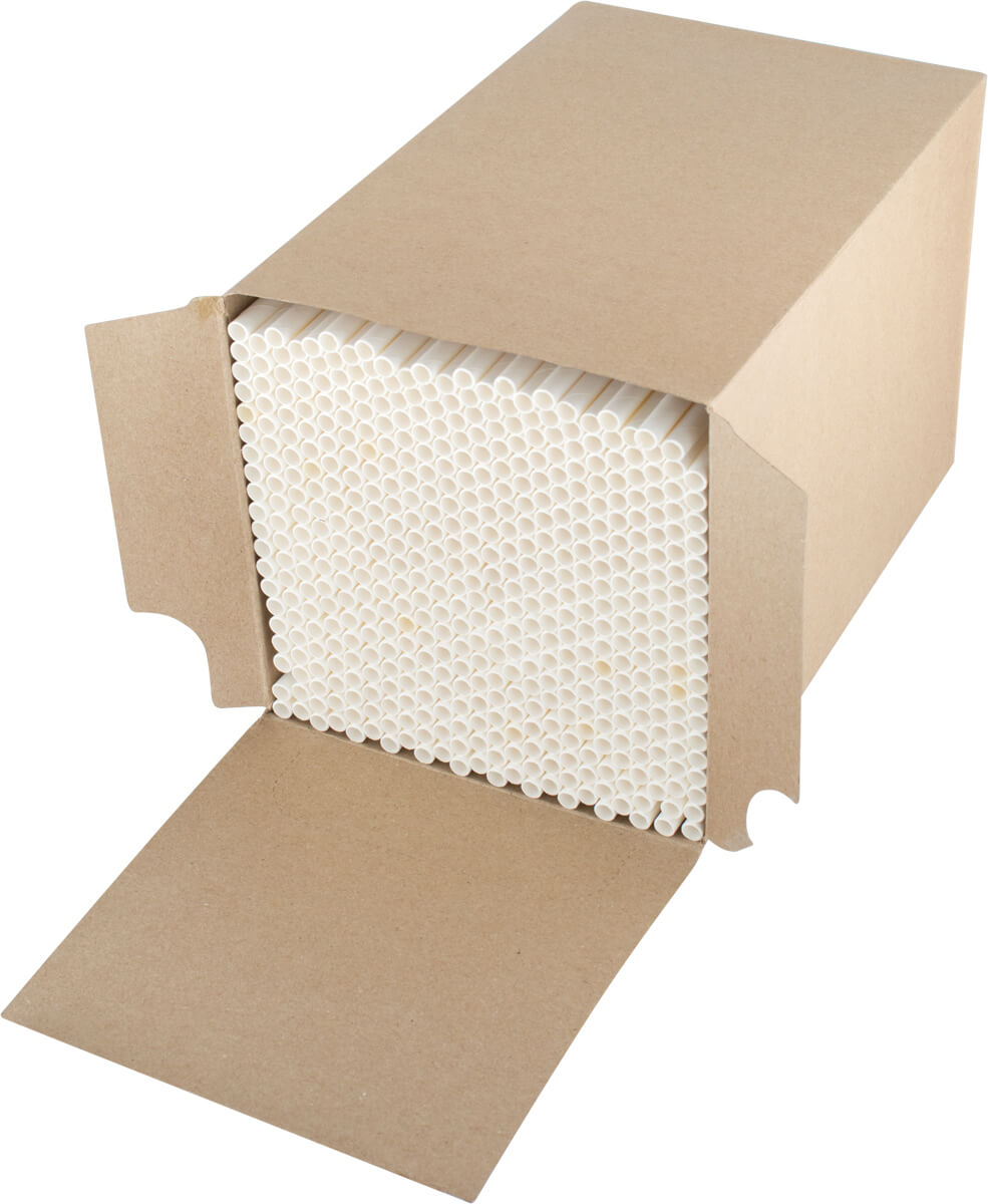 Pailles en papier (6x200mm) - blanc (500 pcs)