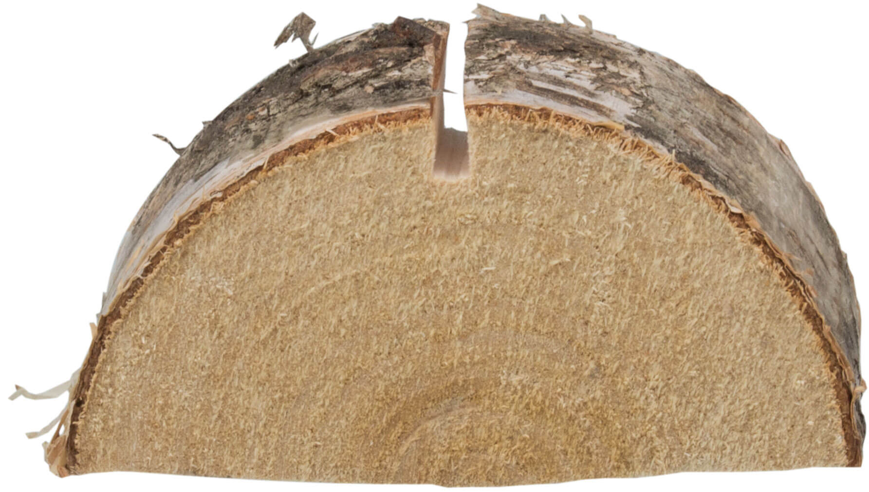 Porte-cartes Bouleau, disque d'arbre Bouleau - env. 6,5cm